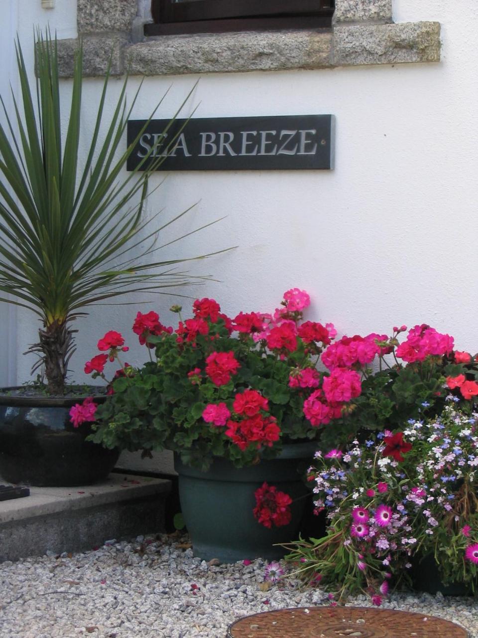 Bed and Breakfast Sea Breeze St Ives Exterior foto